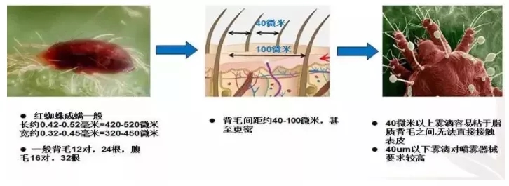 640.webp (3).jpg