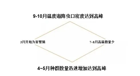 640.webp (1).jpg