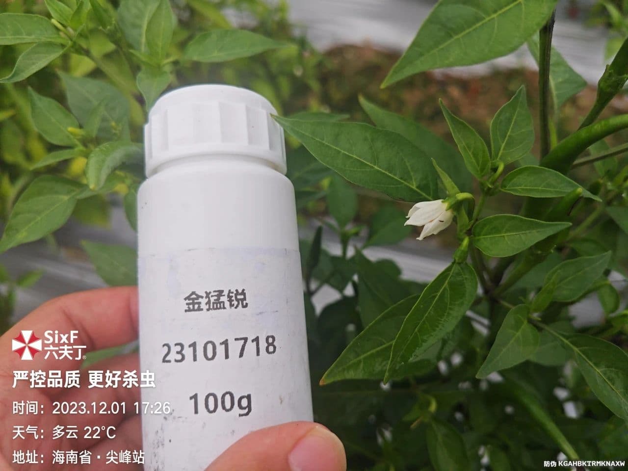 微信图片_20250508141724.jpg