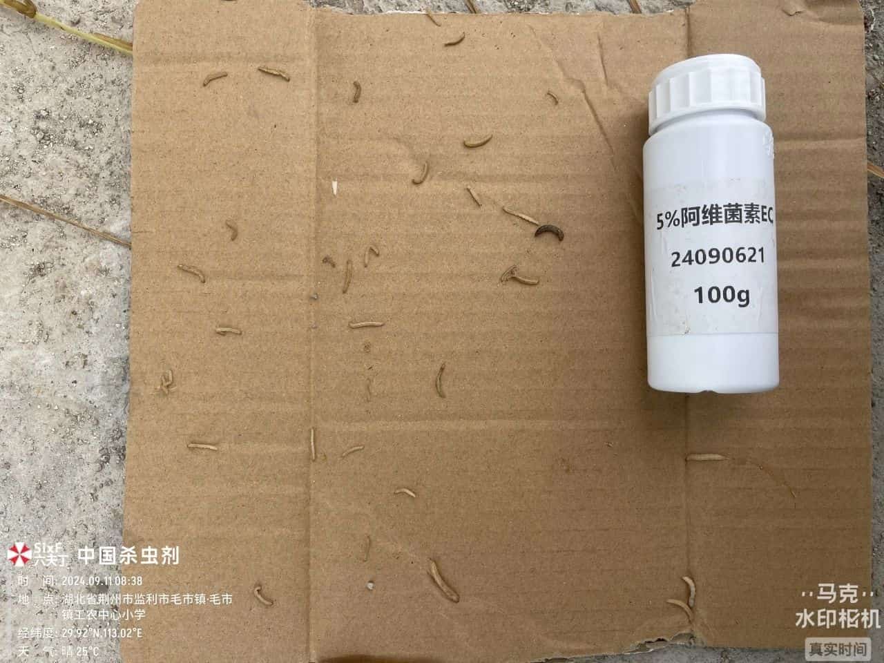 微信图片_20250508143920.jpg